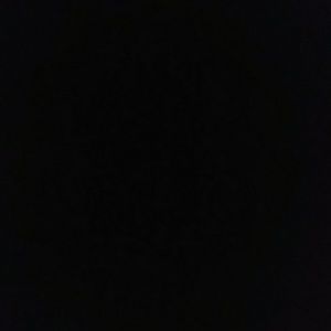 Meet your Posher, Terrence